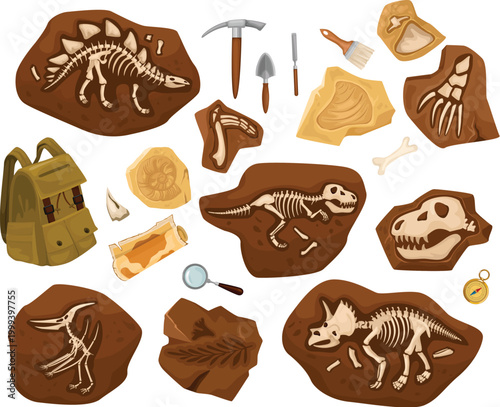 Jurassic era animal collection with bone fossils and predatory dinosaur shapes vector