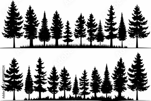 pine tree silhouettes in two rows against a white background