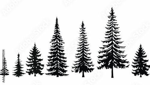 Coniferous evergreen tree silhouettes on a white background high quality professional