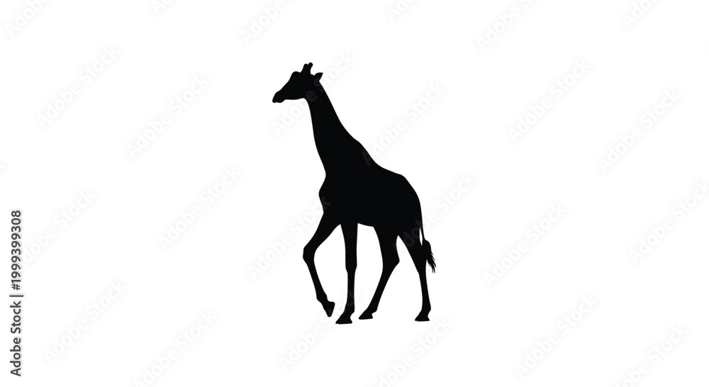 Obraz premium Full body black silhouette of a walking giraffe side view
