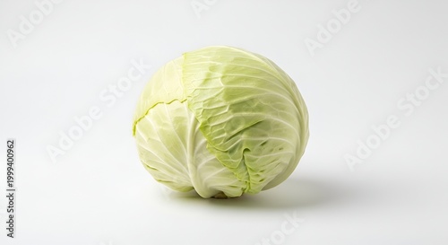 Fresh Green Cabbage Head Isolated on White Background