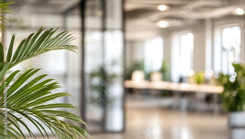 Abstract office interior background. Blurry office space. Modern workspace design. Glass walls, blurred furniture, plants. Natural light, commercial building, business concept, indoor. High quality