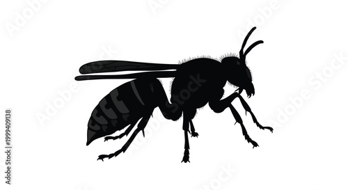 Wasp silhouette on a white background insect vector graphic