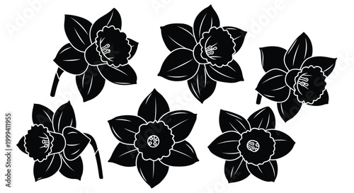 Konstfotografi Adobe Illustrator Artwork