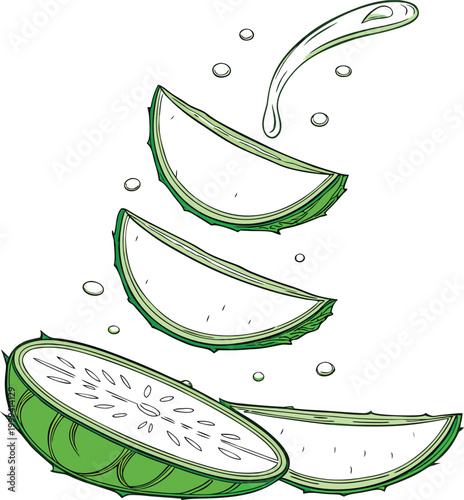 Fresh green dragon fruit slices, white pulp, juice splashes, healthy snack, tropical fruit