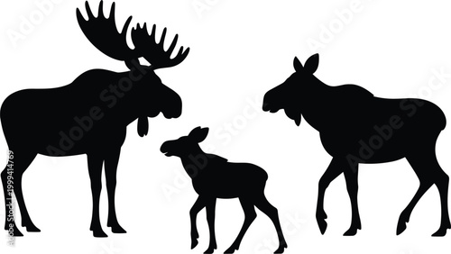 Silhouette of a Moose Family with Large Antlers and a Calf on White Background Keywords: moose, elk, animal, wildlife, nature