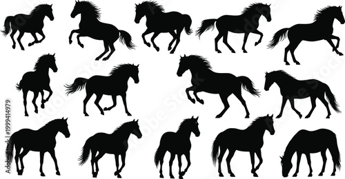 Horse silhouettes collection with running standing and grazing poses isolated black vector illustration set for design use