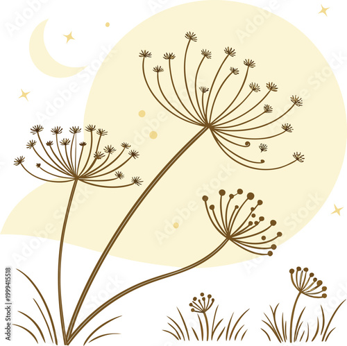 Whimsical dandelion flowers, crescent moon, starry night, vector illustration, dreamy botanicals