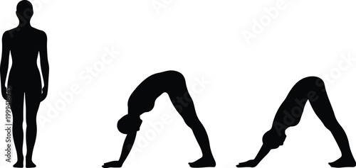 Yoga Pose Silhouette Icon Collection Set Silhouette Icon Pack