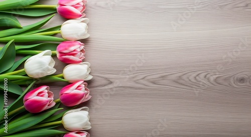 Soft Pink Tulip Elegance Minimal Floral Scene