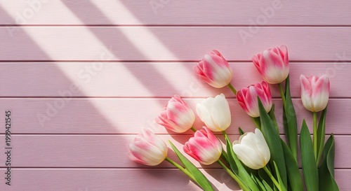 Soft Pink Tulip Elegance Minimal Floral Scene