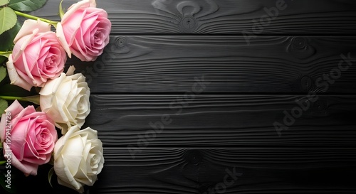 Soft Pink Tulip Elegance Minimal Floral Scene