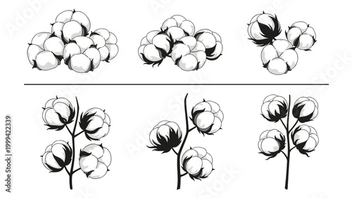 Collection of cotton flower sketches showing fluffy bolls on branches and loose clusters for textile and organic fabric industry designs.