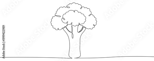 Illustration of a fresh broccoli floret, made in one continuous line. Minimalist healthy vegetable and organic food drawing with a black stroke on a white background,