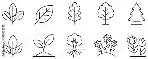 Set of plant and tree icons. Graphic elements depicting various leaves, coniferous and deciduous trees, flowers, and sprouts. Vector illustration.