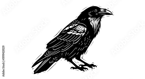 Viintage engraved raven bird illustration isolated in black and white
