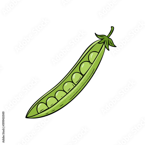 Fresh green pea pod with multiple peas inside and leaves at the top illustration