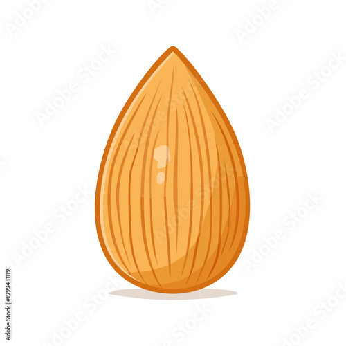 Stylized vector illustration of a single almond nut isolated on a white background, graphic design element