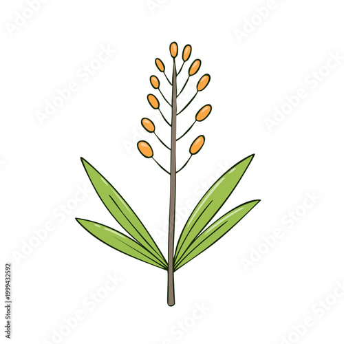 Stylized illustration of an orange flowering plant with green leaves and a brown stem