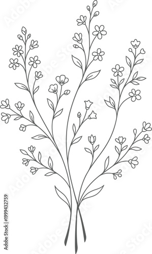 Fotografía A black and white illustration of a sprig of rosemary