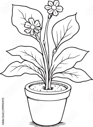 Hand drawn cute potted blooming Line Art flowers coloring page for adults and kids