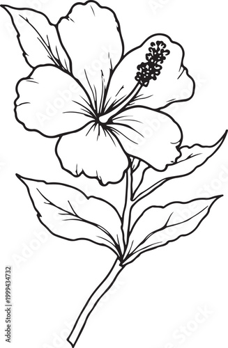 Hand drawn cute potted blooming Line Art flowers coloring page for adults and kids