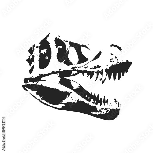 black and white illustration of dinosaur skull fossil hand drawn style vector art