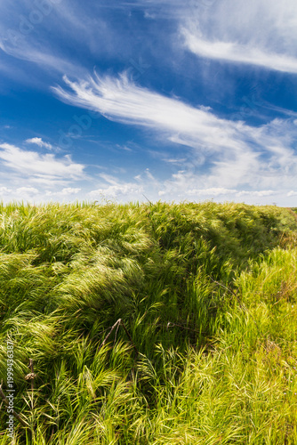 Spring landscapes, Toledo, Spain