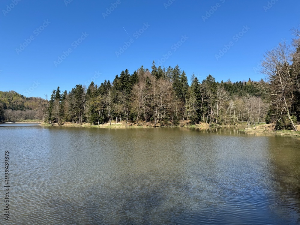 Obraz premium Artificial lake Trakoscan (Zagorje, Croatia) - Die See Trakoscan oder künstlicher Trakoscansee (Kroatien) - Umjetno jezero Trakošćan ili Trakošćansko jezero (Hrvatsko zagorje, Hrvatska)