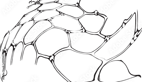 Distorted grid pattern creating abstract lines and shapes