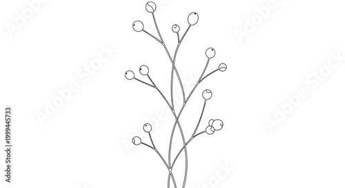 Abstract floral branch with berries, delicate line art, minimalist design