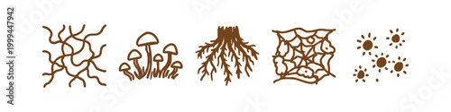 Hand Drawn Fungi Mushrooms and Roots Icons Set