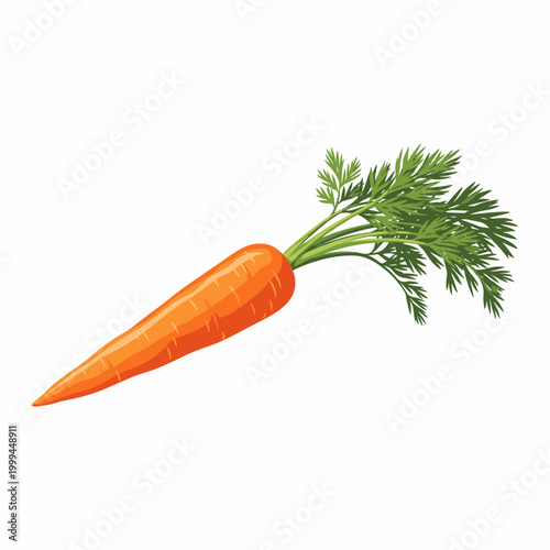 Vibrant orange carrot with fresh green leaves, a healthy and nutritious vegetable illustration.