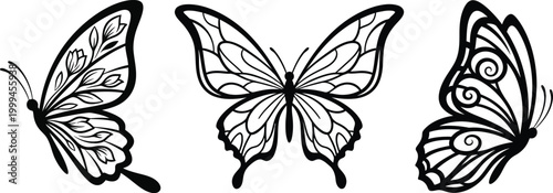 Elegant black and white butterfly collection a delicate sketch of nature's beauty