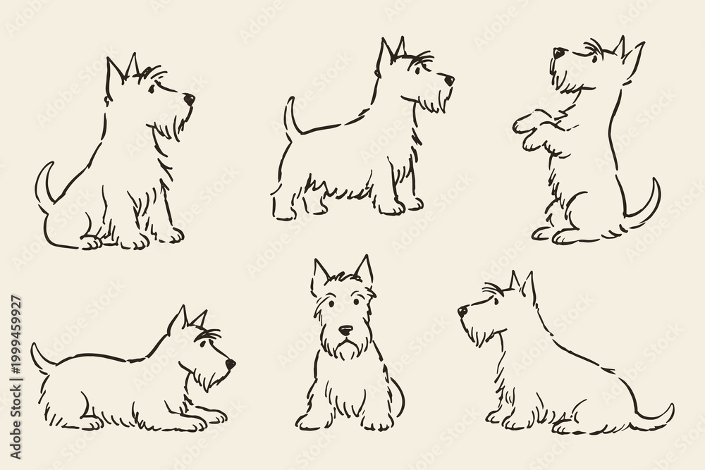 Ταπετσαρία Scottish terrier poses set naive sketch vector illustration