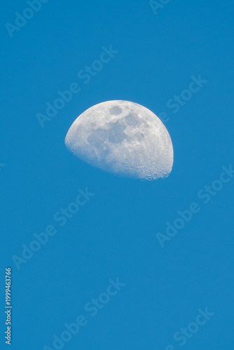 ​A detailed daytime photograph of a waning gibbous moon, showing intricate crater and mare structures against a clear, deep blue daylight sky.

