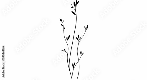 Cuadro en lienzo Minimalist Black Branch with Small Leaves on White Background, Elegant Silhouett