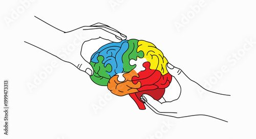 Illustration of a human brain with colorful sections being held by two hands against a white background with a conceptual and educational mood.