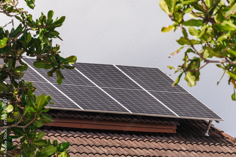 Fototapeta premium Solar panels on house roof surrounded by tropical trees renewable energy concept