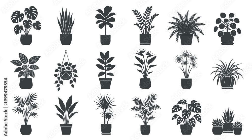 Fototapeta premium Houseplants
