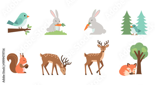 A charming, vector illustration of a squirrel peacefully holding a nut. Ideal for children's content, marketing, or adding a touch of whimsy to your w