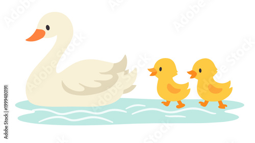 A cartoon white swan with cygnets swimming on water on transparent background. Elegant white bird mother with small yellow baby swans floating on blue water in a graceful scene.