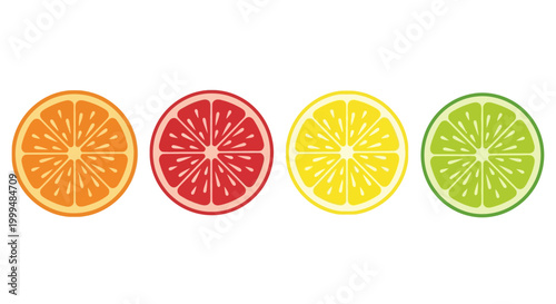 A vibrant collection of citrus fruit slices, including oranges, grapefruits, lemons, and limes, presented in a clean, graphic illustration style