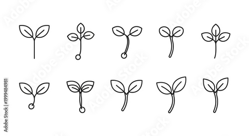 Collection of minimalist line art icons depicting various stages of plant sprouts and seedlings, symbolizing growth, new beginnings, and environmental themes for web and print designs