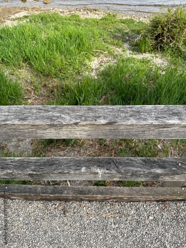 wooden fence and grass