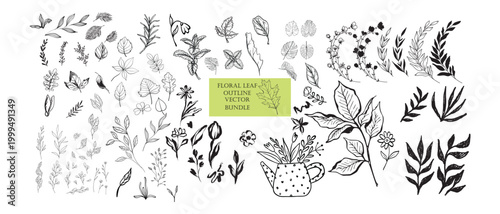 Hand Drawn Botanical Foliage and Floral Line Art Vector Collection Leaf Branch Flower Outline Elements Set Minimal Nature Clipart Isolated on White Background