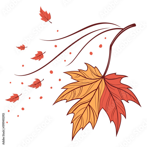 Colorful autumn leaves with rain maple leaf orange