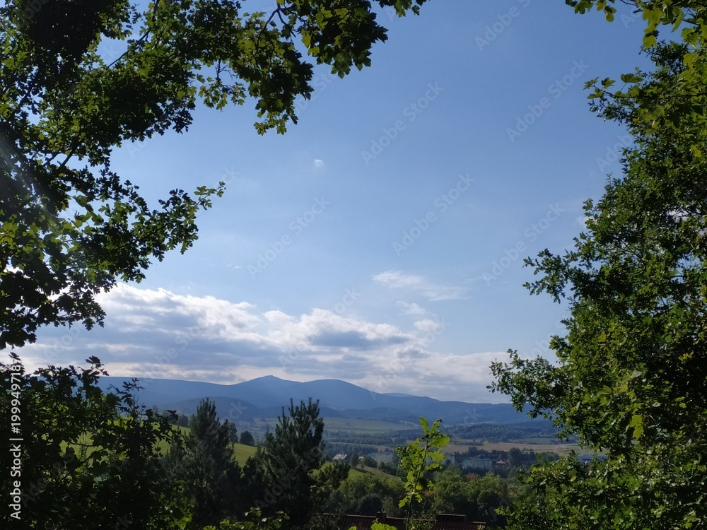 Fototapeta premium clouds and trees