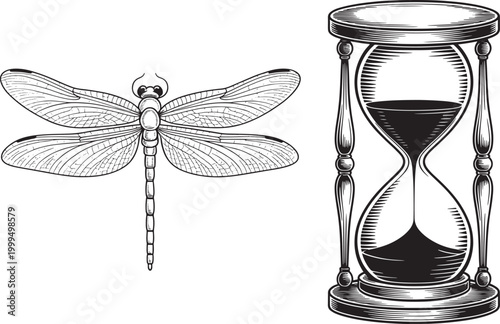 Dragonfly and hourglass in artistic sketch with sand timer, black and whit