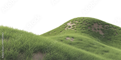 Rolling green hills with grassy meadows under a bright sky